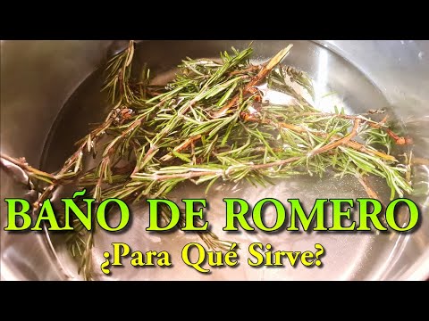 BAÑO DE ROMERO ¿Para Que Sirve? ¿Como se hace? Elimina Envidias, Bloqueos y Mala Suerte