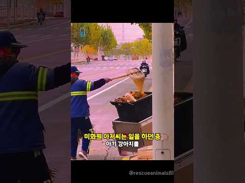 미화원 아저씨가 어미를 잃고 떠도는 아기 강아지를 구조했더니...