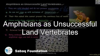 Amphibians as Unsuccessful Land Vertebrates