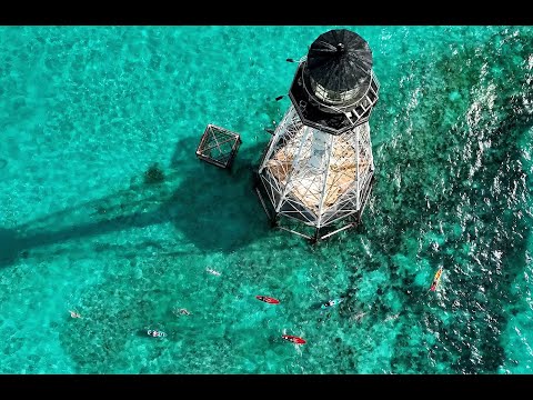 Swim for Alligator Lighthouse