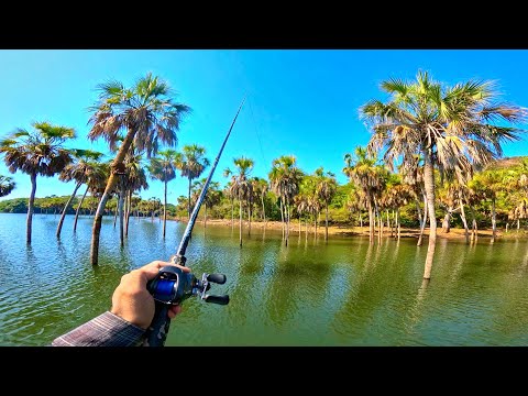 Pescando en un PARAÍSO Tropical en Jalisco, México!