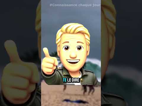 Que faire si un tsunami te surprend sur la plage ? #shorts
