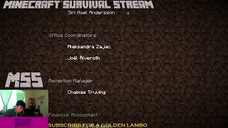 MSS WE ARE FINISHING MINECRAFT! #3