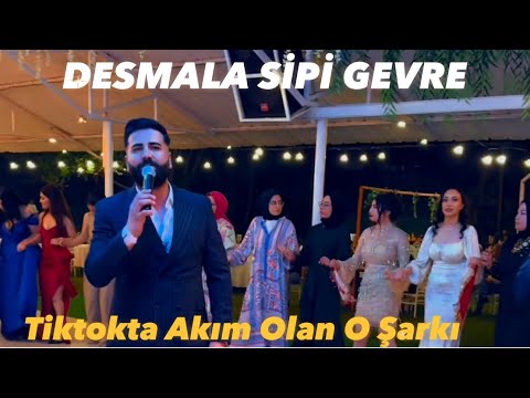 Desmala Sipi Gevre Lı Ser Zende Te Yare Sinan Özaraz Uzun Versiyon Tu Bajaramın Bu