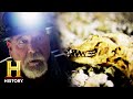 Exploring Mine Discoveries and Challenges