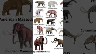 Four Elephant Species Lived in North America