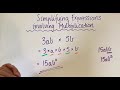 Simplifying Expressions and Variables