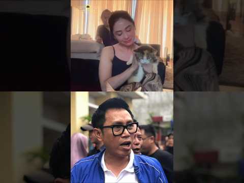Dewi Perssik Rawat Kucing Eko Patrio yang Selamat dari Penjarahan.