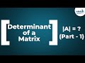 Understanding Determinants of Matrices