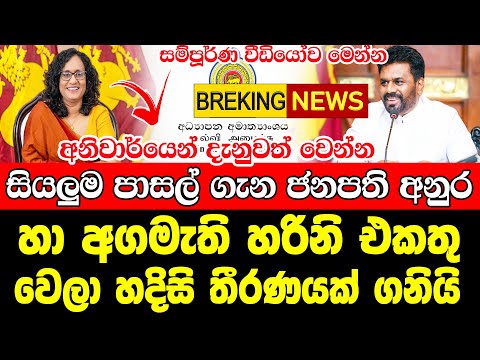 TODAY NEWS UPDATE LIVE | Hiru Breaking News  | This is a very special news Breaking News Very speci