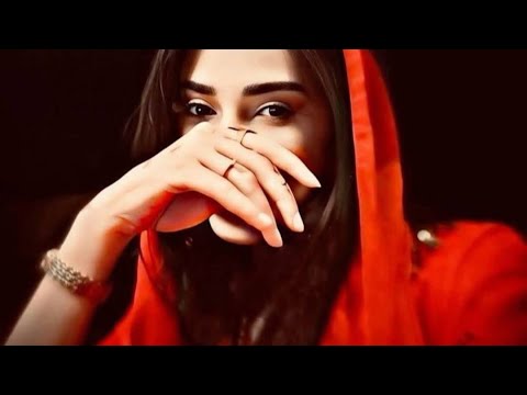 من عيني سقطو كثير - الفنان عبدالله العبدالله والعازف مهند الاحمد | دبكات 2025