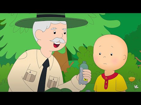 Caillou ve Park Bekçisi | Caillou Türkçe - WildBrain