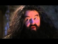 Harry Potter Video Analysis