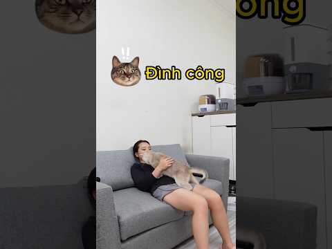Máy massage cầm tay chạy bằng pate #thaomeo #maymassagecamtay