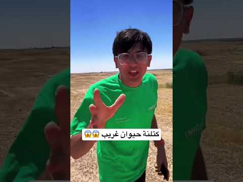 لكينة حيوان على الحدود راد يعضنا وكتلنا الحمدالله😱🔫!!!!الله ستر🙏😭