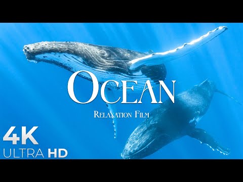 Breathtaking Ocean bath with Relaxing Music - 4k Video HD Ultra