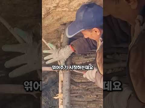 절벽 아래 집을 짓는 이유, 단순 생존 그 이상입니다