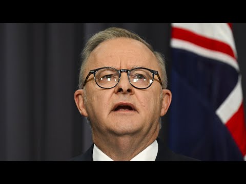 ‘Bad for democracy’: Anthony Albanese reduces staff for Coalition MPs
