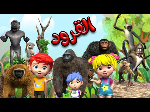 اغنية القرود 🥳 | اغاني اطفال بون بون