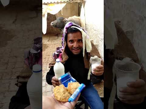 सवा लीटर भैंस का दूध पिया वो भी अपनी नाक से | Milk drinking challenge and eating gud