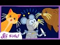 Seal Whiskers and Their Functions