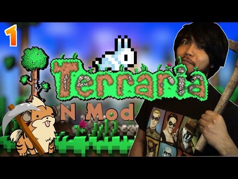 terraria modded character save