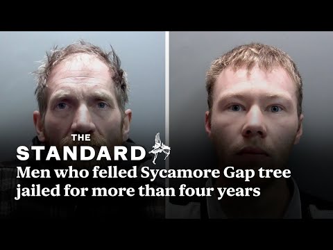 Men who felled Sycamore Gap tree jailed for more than four years