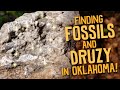 Exploring Druzy Quartz and Fossils