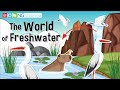 Freshwater Resources and Their Importance