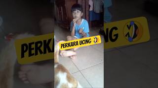 Drama ngurus ucing