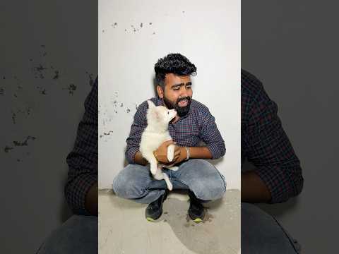 Dog ๐ถ Lovers can relate ๐ญ || Sachin Laya ghar me kutta ๐ฆฎ Part-2 #youtubeshorts #sachingirdhar