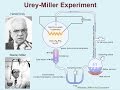 Origin of Life and Amino Acids