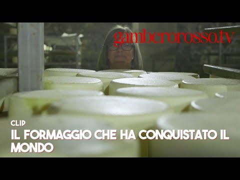 Il PECORINO: "la barretta energetica" dei legionari romani| Abchesse