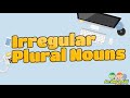 Identifying Irregular Plural Nouns