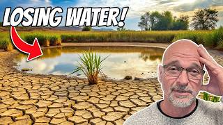 Pond Evaporation Explained (And Why It Matters)