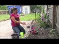 City Green's Impact on Urban Education