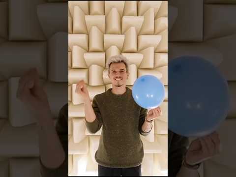 La stanza più silenziosa del mondo