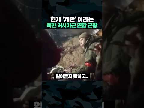 현재 '개판' 이라는 북한 러시아 연합군 근황