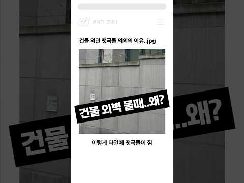 건물 외관 땟국물 의외의 이유..jpg