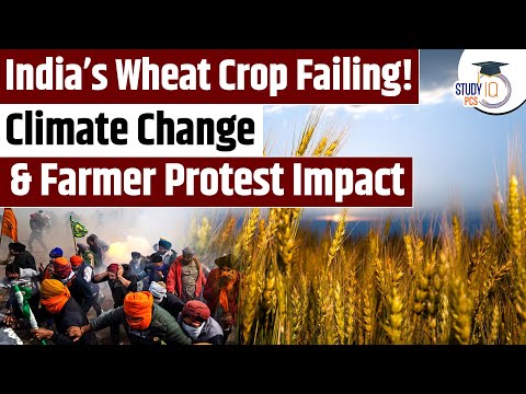 India's Wheat Crop Failling | Climate Change & Farmer Protest Impact | By Prafull Sir | StudyIQ PCS