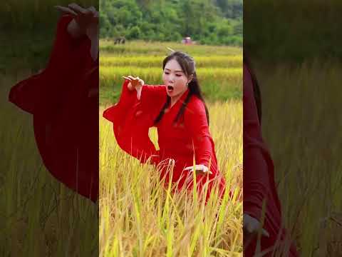 How Does A Kung Fu Hero Harvest Wheat? #food #cooking#shorts #kungfu