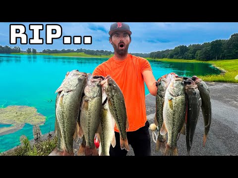 They Told Us To Kill 1,500 Bass....