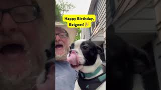 Happy Birthday Beignet!