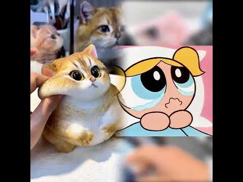 Le quito las CHAMCLAS a mi novia #humor #risas