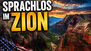 Der spektakulärste Ausblick der USA? | Zion National Park