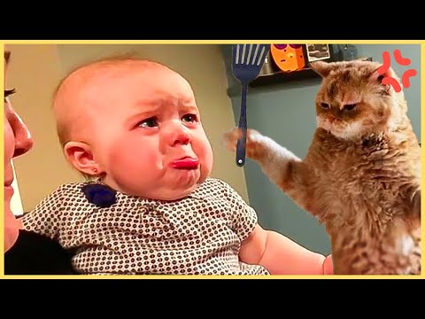 TOP Trending Baby Videos - 30 Minutes Funny Baby Video
