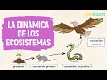 Comprendiendo los Ecosistemas