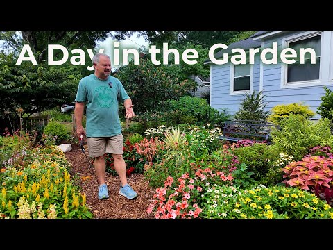 A Day in the Garden: How We Keep It Looking Great