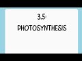 Photosynthesis Processes and Concepts