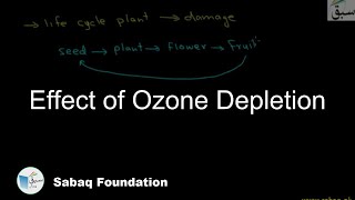 Effect of Ozone Depletion